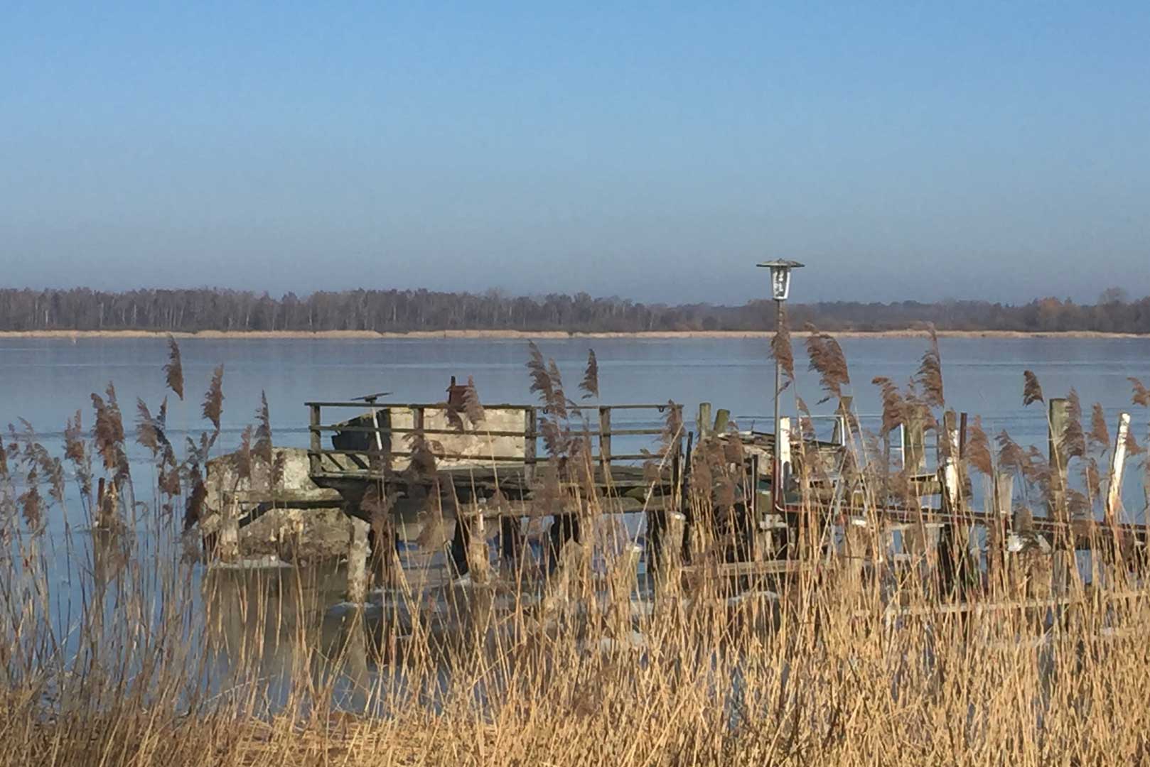 ribnitz damgarten anglersteg